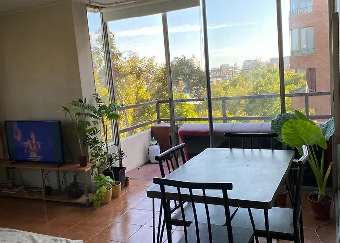 Habitacion Con Bano Privado En Departamento Compartido Con Anfitrion